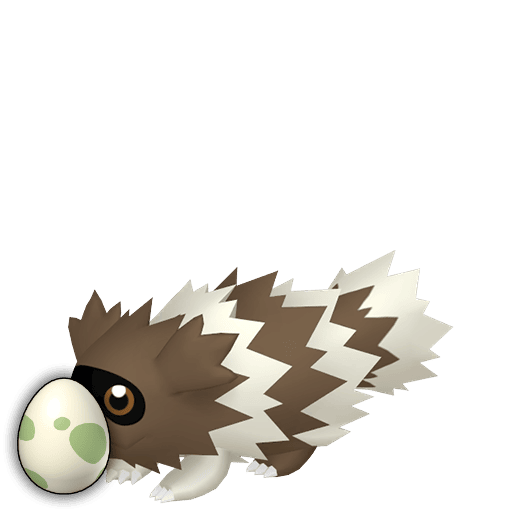 #0263 Zigzagoon Egg [Sword & Shield]