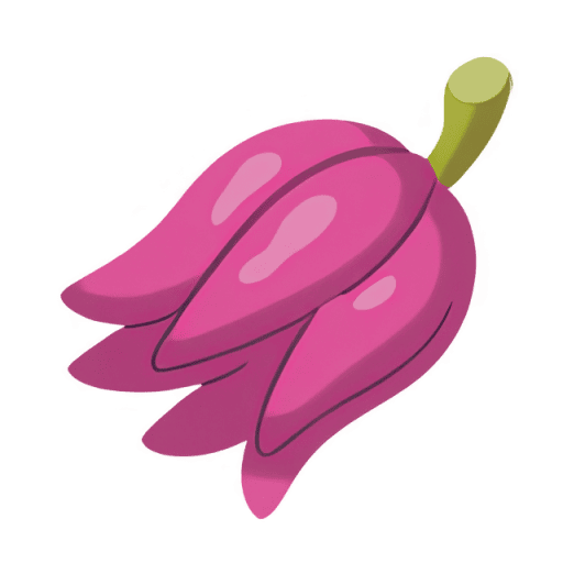 Kasib Berry Item [Legends Z-A]