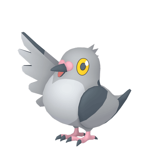 #0519 Pidove [Sword & Shield]