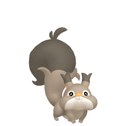 #0819 Skwovet [Sword & Shield]